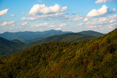 Wander North Georgia