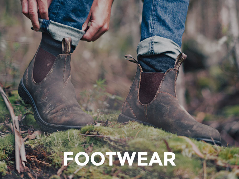 Wander North Georgia