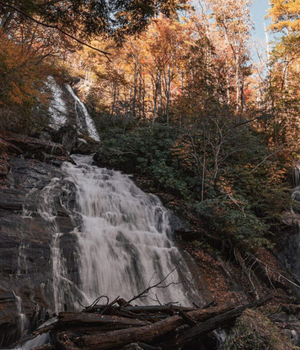 Wander North Georgia