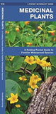 Medicinal Plants Folding Pocket Guide