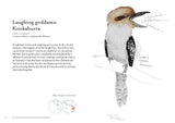 Field Guide To Dumb Birds Of The World